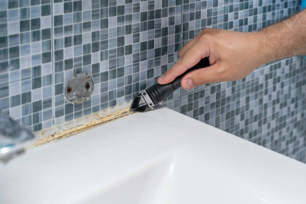 Best Home Mold Removal  in Alameda, CA